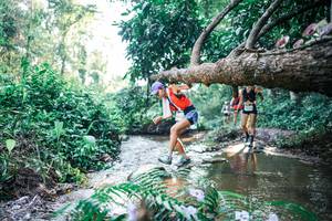 BIB: 
                            <button type="button" onclick="openModal(25438264)" class="btn btn-primary btn-sm float-right btn-popup" data-toggle="modal" data-target=".modal-high-quality">
                        <i class="fas fa-shopping-cart"></i> Add to Cart
                    </button>
                                            <button type="button" onclick="isThisMe(25438264, true)" class="btn btn-success btn-sm float-right btn-popup btn-isme hidden" data-toggle="tooltip" data-placement="bottom" title="นี่คือรูปของคุณใช่ไหม คลิกที่นี่เพื่อเอาเข้าอัลบั้ม">
                        <i class="fas fa-plus"></i> Add to album
                    </button>
                    <button type="button" onclick="isThisMe(25438264, false)" class="btn btn-warning btn-sm float-right btn-popup btn-isnotme hidden">
                        <i class="fas fa-ban"></i> Remove from album
                    </button>